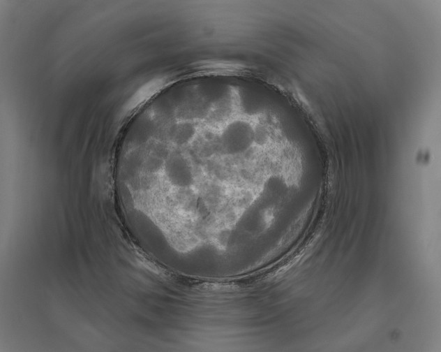 X0000095111354200712301726