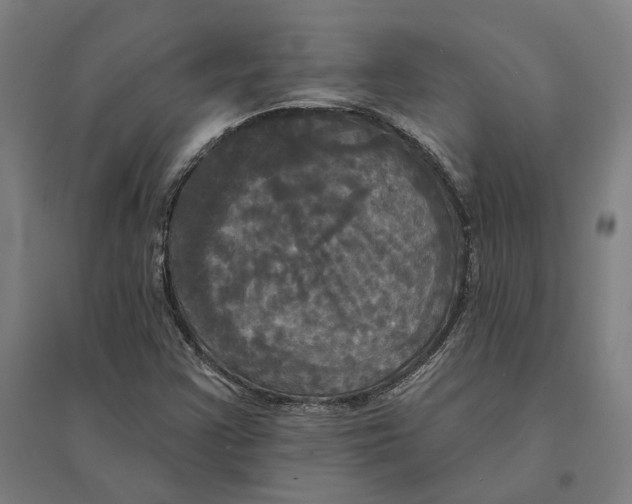 X0000095111355200712301726