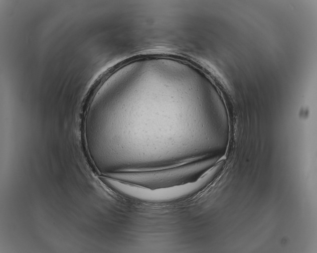 X0000095111356200712301726