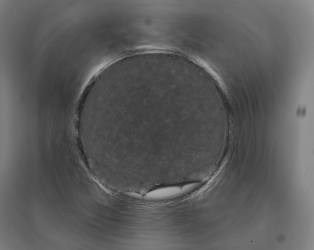 X0000095111357200712301726