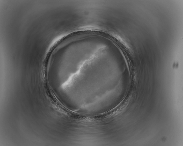 X0000095111358200712301726