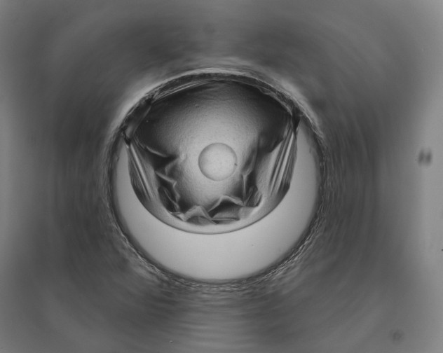 X0000095111360200712301726