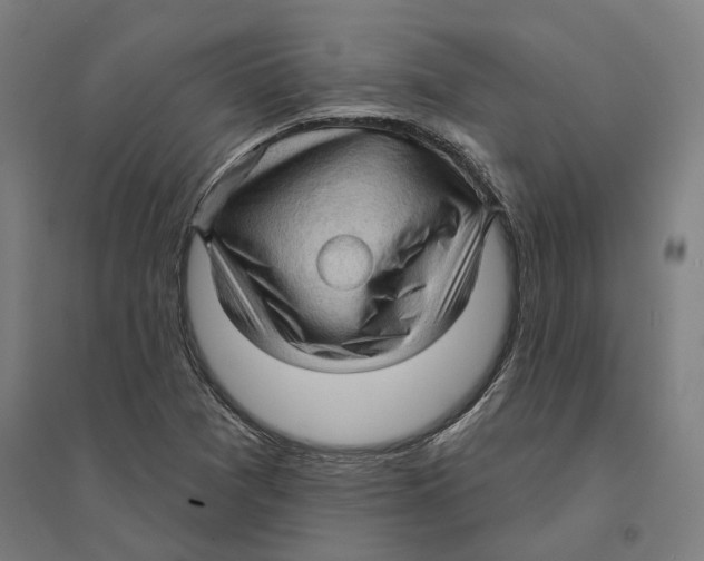 X0000095111361200712301726