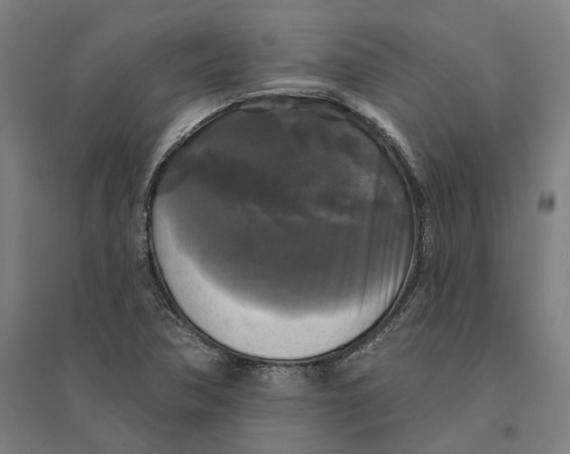 X0000095111362200712301726