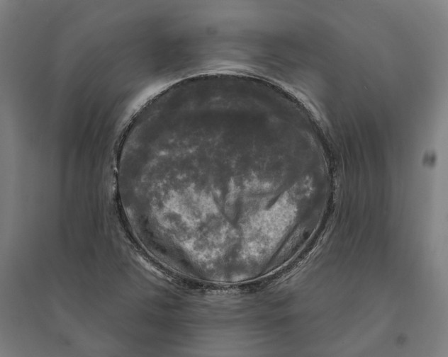 X0000095111363200712301726