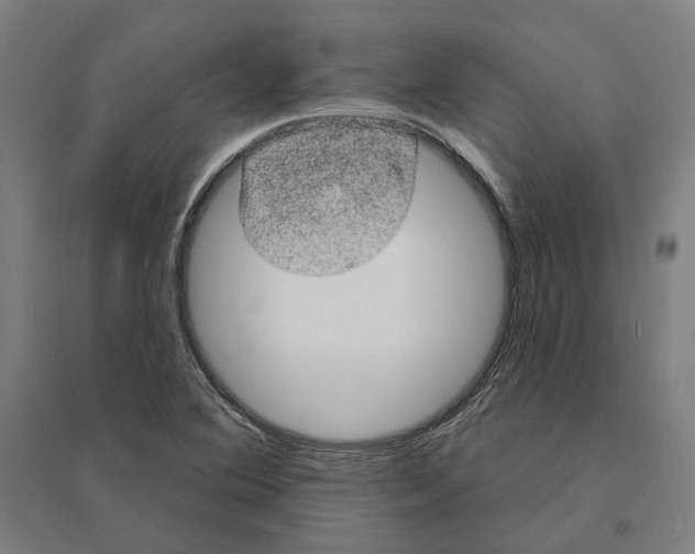 X0000095111364200712301726