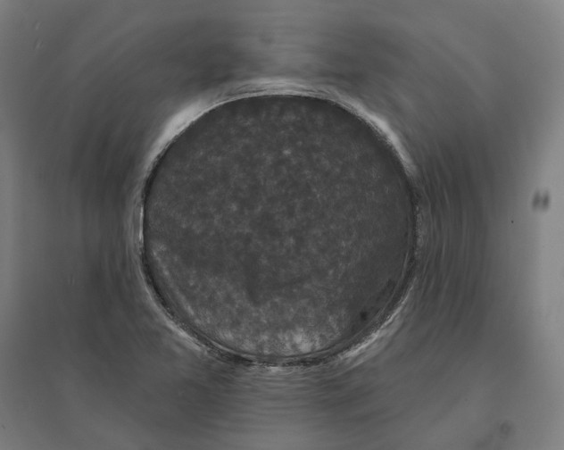 X0000095111365200712301726