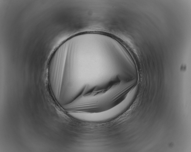 X0000095111366200712301726