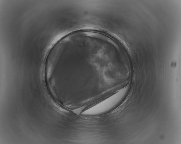 X0000095111367200712301726