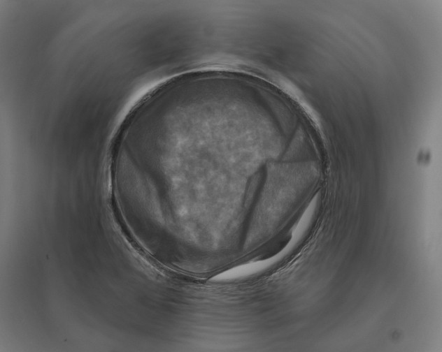 X0000095111368200712301726