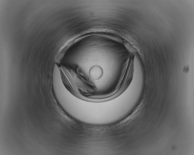 X0000095111369200712301726