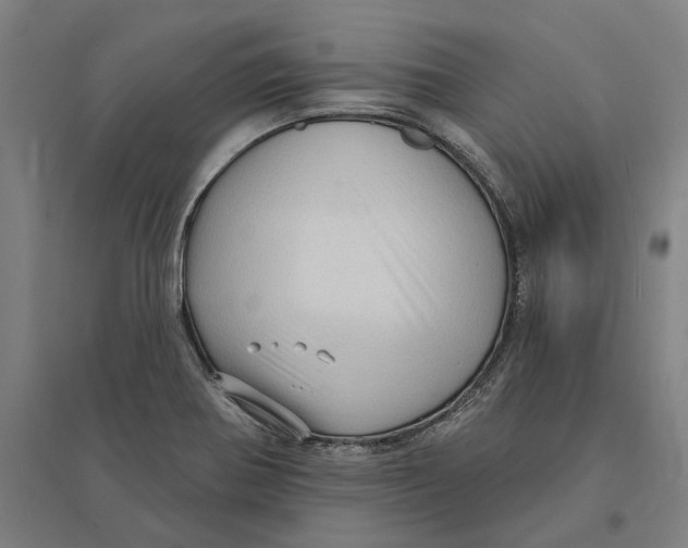 X0000095111370200712301726