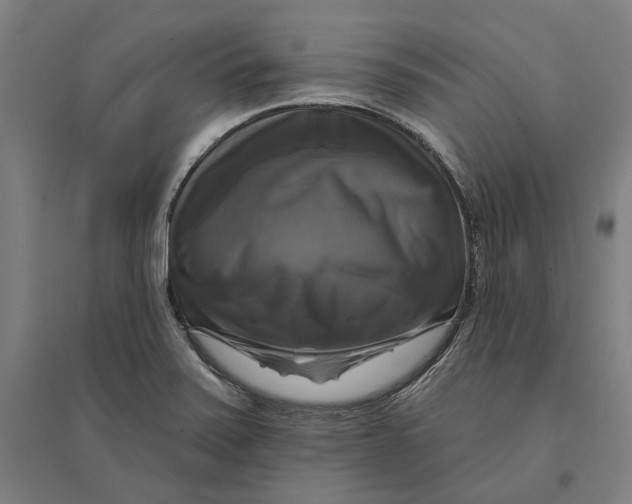 X0000095111371200712301726