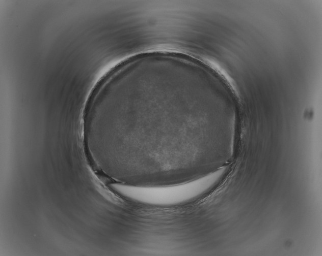 X0000095111372200712301726