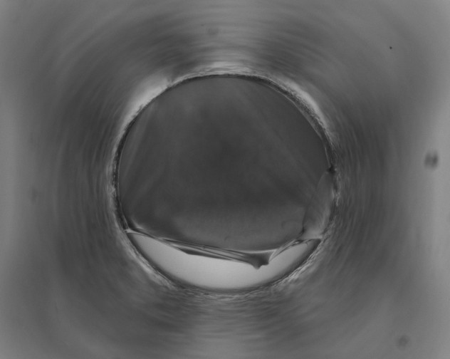 X0000095111373200712301726