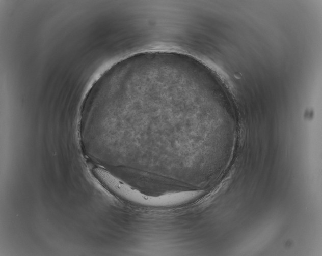 X0000095111374200712301726