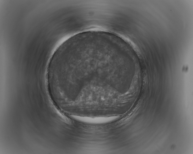 X0000095111375200712301726