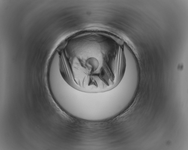 X0000095111376200712301726