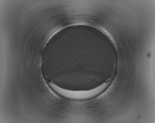 X0000095111377200712301726