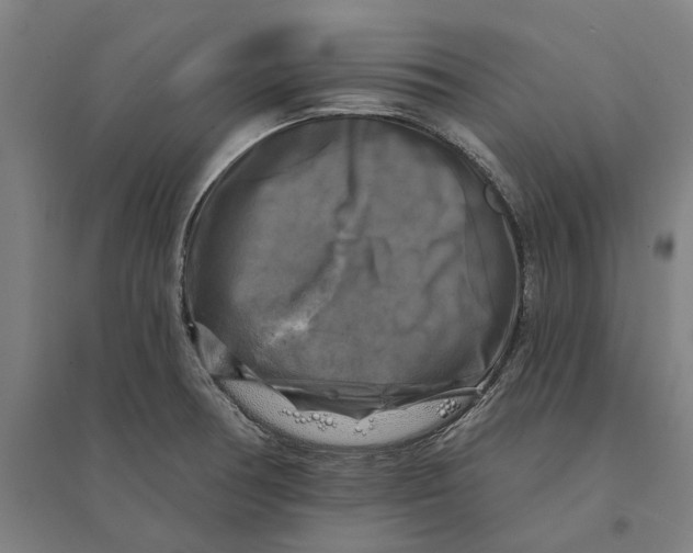 X0000095111378200712301726