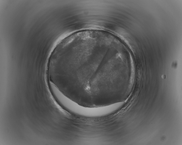 X0000095111379200712301726