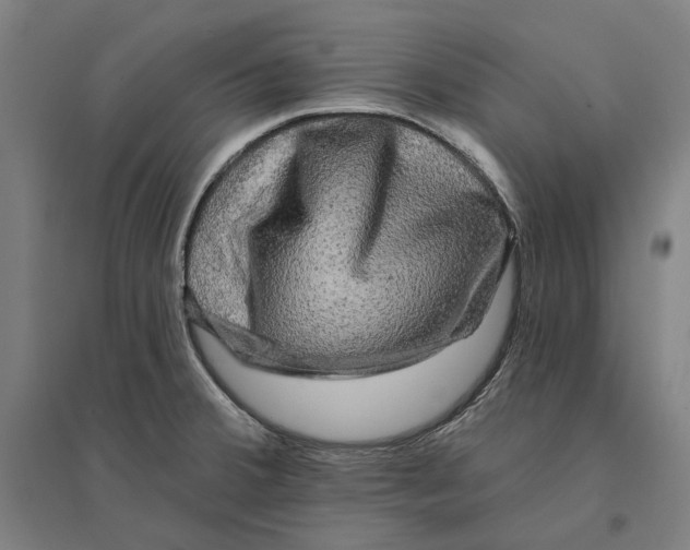 X0000095111380200712301726