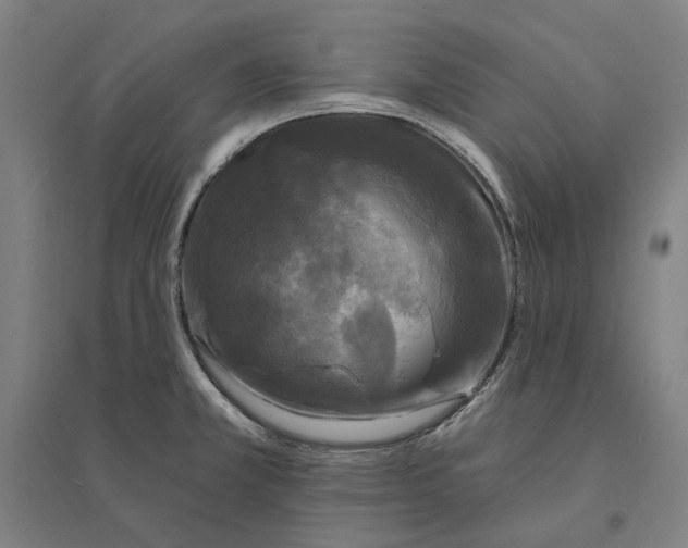 X0000095111381200712301726