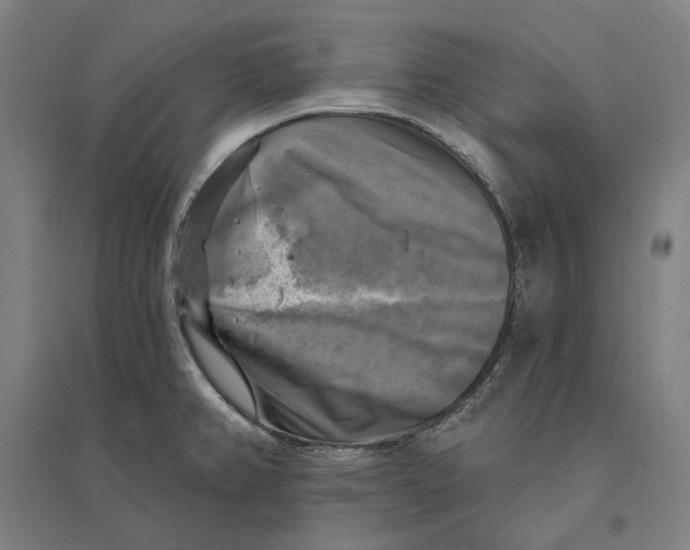 X0000095111382200712301726