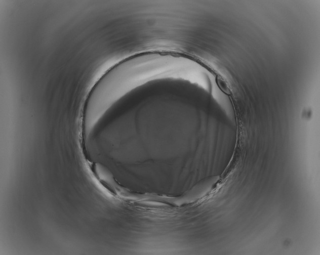 X0000095111383200712301726