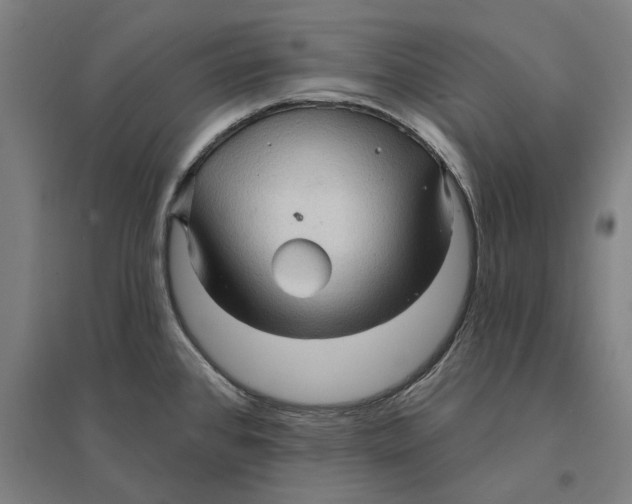 X0000095111384200712301726