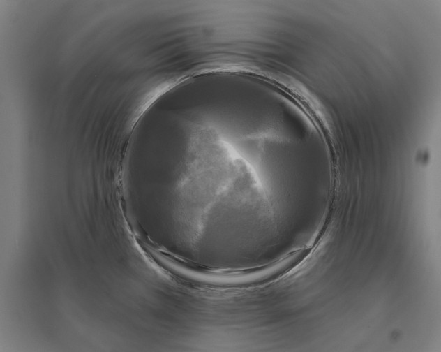 X0000095111385200712301726