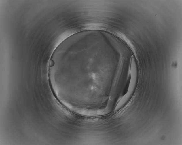 X0000095111386200712301726