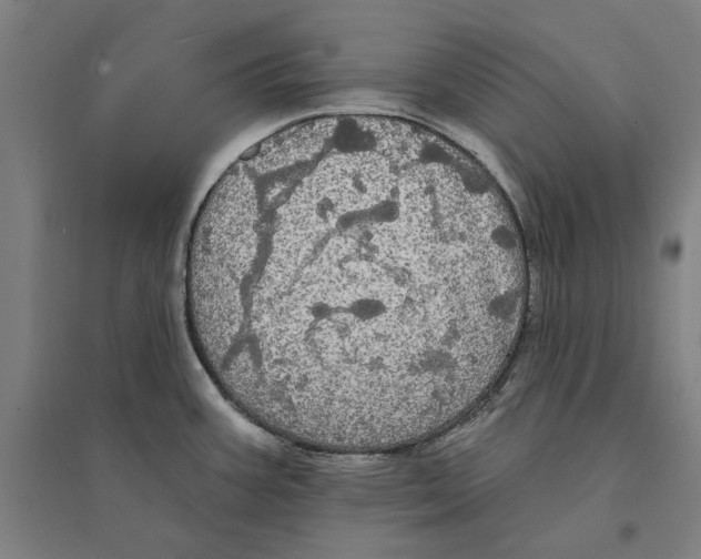 X0000095111387200712301726