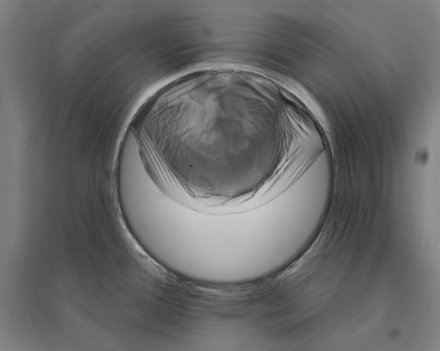 X0000095111388200712301726