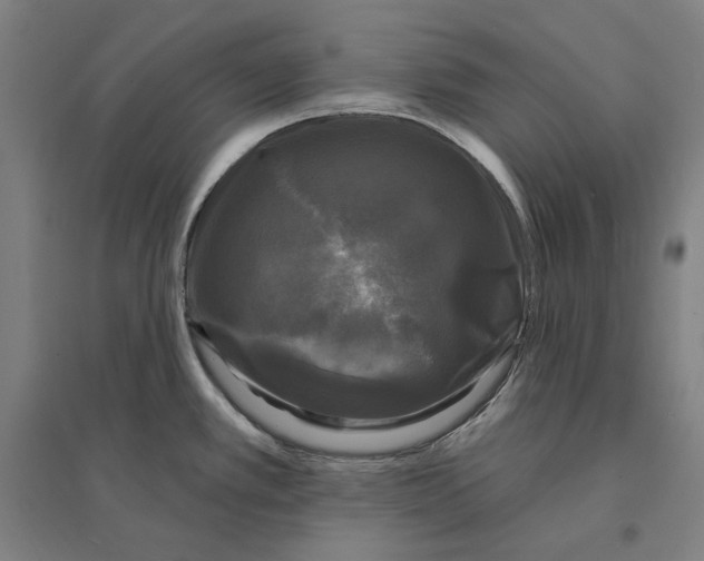 X0000095111389200712301726