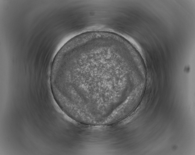 X0000095111390200712301726