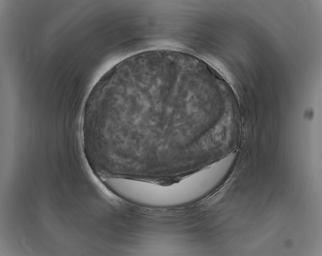 X0000095111391200712301726