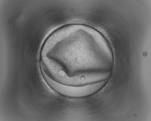 X0000095111392200712301726