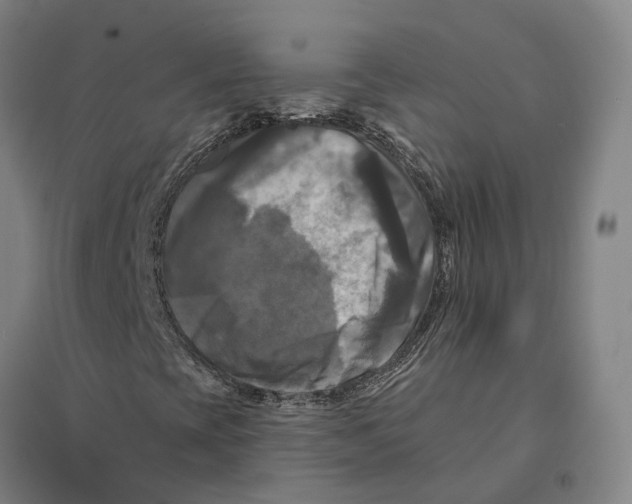 X0000095111393200712301725