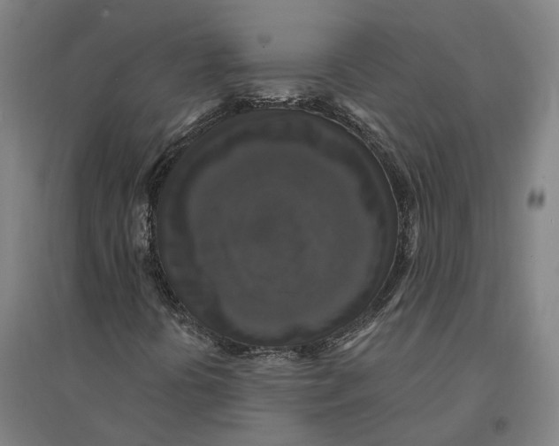 X0000095111394200712301725