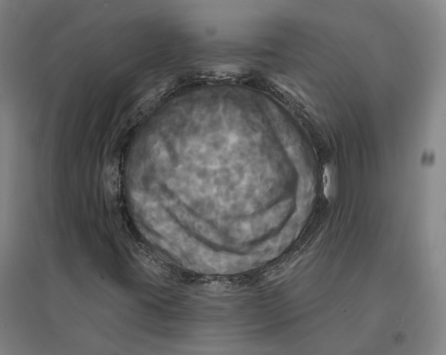 X0000095111395200712301725