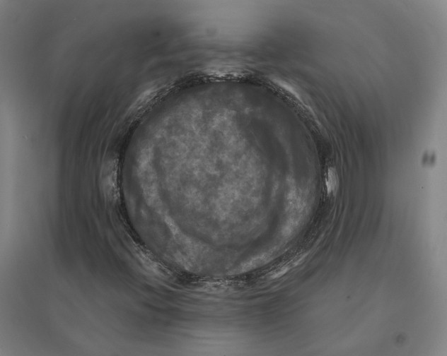 X0000095111396200712301725