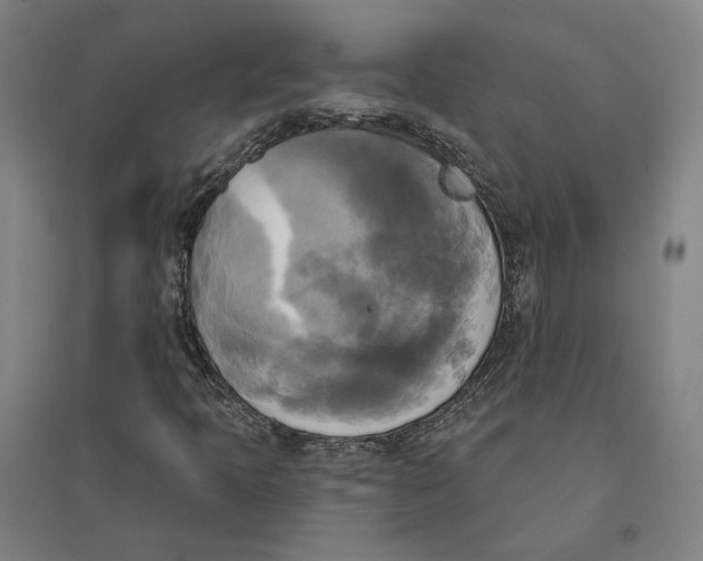 X0000095111397200712301725