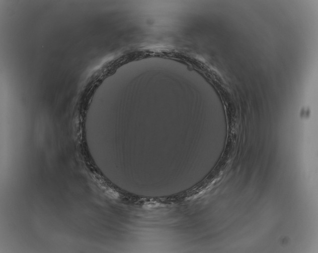 X0000095111398200712301725