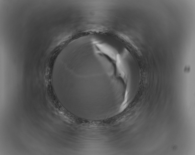 X0000095111399200712301725