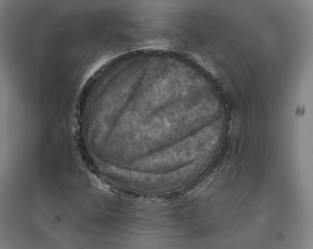 X0000095111400200712301725