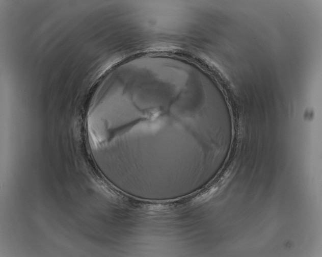 X0000095111401200712301725