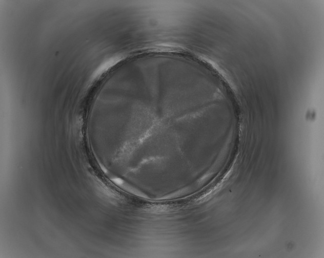 X0000095111402200712301725