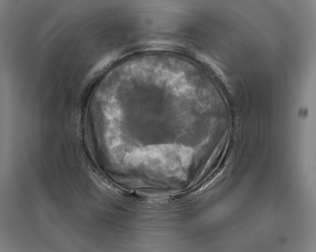 X0000095111403200712301725