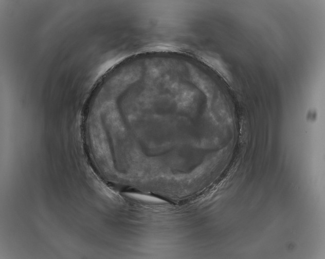 X0000095111404200712301725